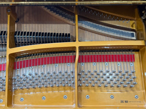 Secondhand Petrof Model III PE 193 Grand Piano Polished Ebony | Bolton Store