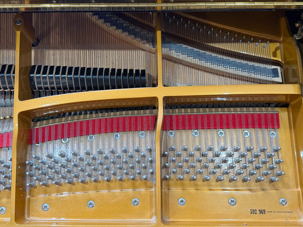 Secondhand Petrof Model III PE 193 Grand Piano Polished Ebony | Bolton Store