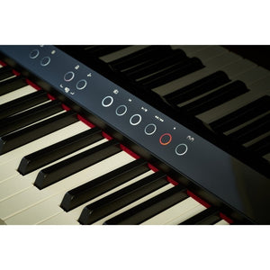 Roland LX9 Digital Piano Standard Package Polished Ebony