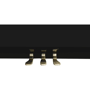 Essex EUP111E Acoustic Upright Piano Ebonised Polish