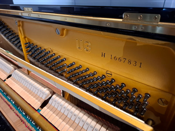 Refurbished Yamaha U3H Acoustic Upright Piano Polished Ebony - Japan, 1973
