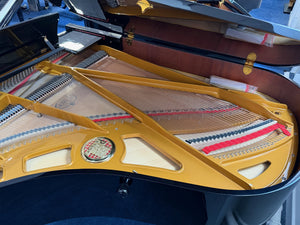 Secondhand Petrof Model III PE 193 Grand Piano Polished Ebony | Bolton Store
