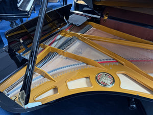 Secondhand Petrof Model III PE 193 Grand Piano Polished Ebony | Bolton Store