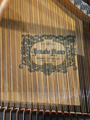 Secondhand Yamaha C2 Acoustic Grand Piano | Polished Ebony | Leeds Store