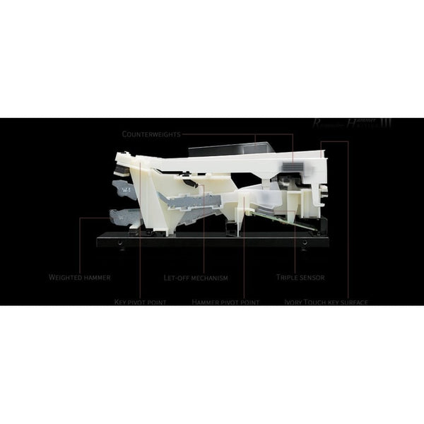 Kawai CN301 Digital Piano Standard Package Satin Black